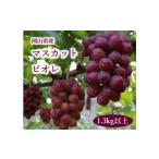ぶどう マスカット マスカットビオレ 1.3kg以上