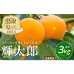 果物類 柿 産柿 輝太郎 きたろう 3kg