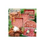 牛肉 セット なかつ耶馬渓お肉三昧セット