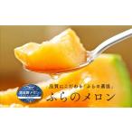 ふるさと納税 メロン メロン赤肉 北海道 中富良野町  2026年発送 富良野メロン4〜5玉（計8kg以上）