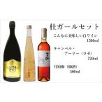 ふるさと納税 ワイン セット 宮崎県 綾町 杜ガールセット　ワイン　白　ロゼ　リキュール