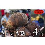 人参 大根 他根菜 可児のおいしい里芋 さといも塾