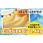 ふるさと納税 メロン メロン赤肉 鳥取県 琴浦町 先行予約 数量限定 鳥取県産 エリザベスメロン 4玉(2.4kg)