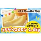 ショッピングふるさと納税 メロン ふるさと納税 鳥取県 琴浦町 数量限定 鳥取県産 エリザベスメロン 4玉（2.4kg）