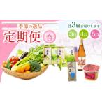 セット 詰合せ C1 3回定期便 季節の逸品