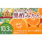 ふるさと納税 果物類 みかん 佐賀県 太良町 かねひろの黒酢みかん 2023年 第1位ふるさとチョイス みかん 部門 10.3kg 2S〜2L 新鮮 黒酢 アミノ酸 みかん 蜜柑 …