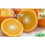 今村農園の蔵姫くらひめ 紅甘夏 約4kg