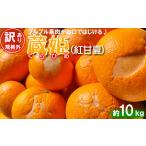 ふるさと納税 果物類 みかん 大分県 杵築市 訳あり・規格外品 今村農園の「蔵姫くらひめ(紅甘夏) 約10kg」 先行予約 10kg 2026年 3月発送 4月発送 わけあり…