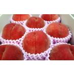 ふるさと納税 もも 山形県 天童市 08-07-004　もも(川中島白桃)3kg