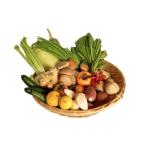 豆類 野菜 セット 6 8品目 詰め合わせ レシピ