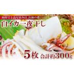 イカ 刺身より美味しい 白いか一夜干 5枚