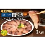 旬の鮮魚等 天然一本釣り関ぶりしゃぶしゃぶセット