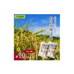 ふるさと納税 米 コシヒカリ 長野県 野沢温泉村 令和7年産 村の御用達米 10kg | K-1 2025年11月上旬より順次発送予定