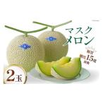 ふるさと納税 メロン メロン青肉 長崎県 島原市 期間限定発送 AA048 その道一筋の生産者がじっくり丁寧に育てた マスクメロン 2玉入