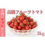 ショッピングトマト ふるさと納税 長崎県 島原市 AA001 全国にファンがいる高級フルーツトマト どっさり！アイコ 3kg