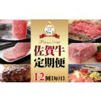 牛肉 ステーキ 定期便 佐賀牛食べ尽くし12回