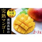 ふるさと納税 高知県 安芸市 大人気！！0.-(1)メリーガーデンの完熟マンゴー