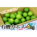 野菜類 安心安全 有機JAS認証のかぼす青果 4kg