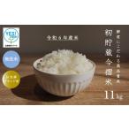 ふるさと納税 北海道 当麻町 【先行受付】令和6年産 籾貯蔵今摺米きたくりん無洗米 11kg  (5.5kg×2袋)