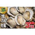 牡蠣 生牡蠣 :2月~4月 殻つき 3kg