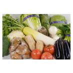 セット 詰合せ 旬の野菜 5~10品程度入り