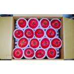 ふるさと納税 りんご 山形県 天童市 08-02-026　りんご(サンふじ)5kg