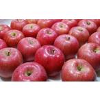 ふるさと納税 りんご 山形県 天童市 08-02-024　りんご(大玉サンふじ)5kg