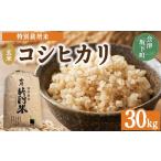 ふるさと納税 米 コシヒカリ 福島県 会津坂下町 3-D　コシヒカリ 玄米 会津 30kg 令和7年産 ｜ 特別栽培米 減農薬 米 お米 藤川農産