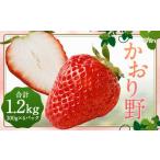 ふるさと納税 いちご 福岡県 筑後市 いちご 「かおり野」プレミアム 300g×4パック 約1.2kg 1箱 2025年12月下旬から2026年3月下旬まで発送予定 苺 イチゴ ベリ…