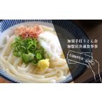 お食事券 A-12 加須手打うどん会加盟店共通食事券3 000円分