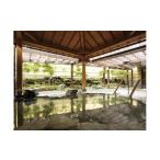 ふるさと納税 温泉・サウナ・スパ利用券 神奈川県 秦野市 鶴巻温泉弘法の里湯・宮永岳彦記念美術館入場チケット｜温泉 名湯 チケットセット 入浴券 日帰り温泉…