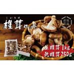 野菜類 きのこ 〈テレビで紹介されました
