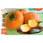 果物類 柿 JAふえふき富有柿 約1.6kg