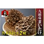 山菜 きのこ 九頭竜まいたけ 2株入り