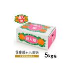 ふるさと納税 果物類 みかん 愛知県 蒲郡市 G0002 期間限定 蒲郡みかん「箱入娘」約5kg