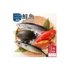 ふるさと納税 旬の鮮魚等 高知県 土佐清水市 3回定期便 季節の鮮魚 おまかせお楽しみセット(ブロンズコース)鮮魚 ボックス 詰め合わせ 天然魚 食べ比べ 魚…