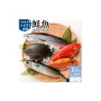 旬の鮮魚等 <10回定期便>