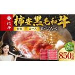 牛肉 モモ 2回定期便 柿安本店 柿安黒毛和牛