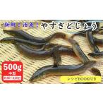 fu.... налог рыба моллюски Shimane дешево . город ... вьюн 500g( женщина высота сырой произведение вьюн кулинария рецепт BOOK имеется ) вьюн . рыба сырой . Tama . еда для .. мягкость . эластичность k...