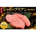 肉 シャトーブリアン 480g