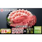 ふるさと納税 豚肉 ロース 鹿児島県 霧島市 B-011 鹿児島県産黒毛和牛 A-5ランク ＆黒豚しゃぶしゃぶセット（計約800g・たれ付き) 北海道・沖縄配送不可 今肉…