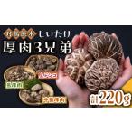 fu.... налог овощи вид .. . Nagasaki префектура на лошадь город на лошадь . дерево .... толщина мясо 3 видов всего примерно 220g { на лошадь город } большой камень магазин .... . мясо толщина высушенный .. сушеные шиитаке сухой ......