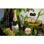 ふるさと納税 ワイン スパークリングワイン 宮崎県 五ヶ瀬町 五ヶ瀬 スパークリング ワイン 樹樹 -JUJU-（ 白 ・ 甘口 ・ 発泡 タイプ ）| お酒 ワイン さけ …