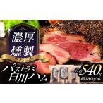 肉 ハム 白川ハム 産豚使用 パストラミハム