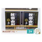 牛肉 カレー シチュー 秋田由利牛カレー 2箱セット