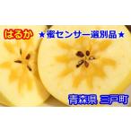 ふるさと納税 りんご 青森県 三戸町 蜜センサー選別品 高級りんご はるか 約3kg(8〜12玉) 2025年産・先行予約 2025年12月上旬〜2026年1月上旬頃まで発送予…