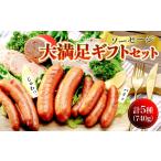 豚肉 生 ウインナー ソーセージ 食べ比べ 大満足セット