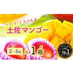 ショッピングふるさと納税 マンゴー ふるさと納税 マンゴー 高知県 いの町 かおる・とろける 土佐マンゴー(2〜5個)×１箱