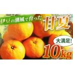 ふるさと納税 みかん・柑橘類 静岡県 伊豆市 （先行予約・限定５０セット・4月〜5月下旬発送）甘夏（10kg） 静岡県 伊豆市 果物 柑橘類 010-007