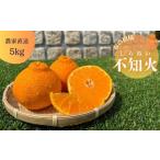 ふるさと納税 みかん・柑橘類 和歌山県 有田市 不知火（しらぬい）(A68-1)
